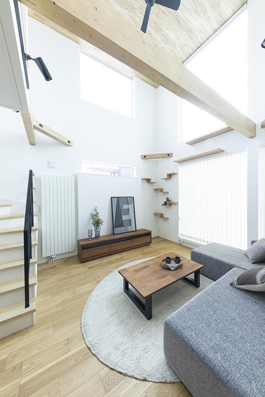 インゾーネの家 猫と暮らす家。