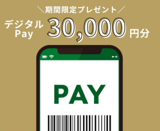 写真：プレゼント「2/11まで！デジタルPay30000円分」